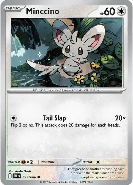 Minccino Pokemon • Common • 075/086